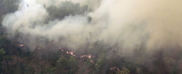 อินโดนีเซียลงโทษหลายบริษัทต้นตอไฟป่า